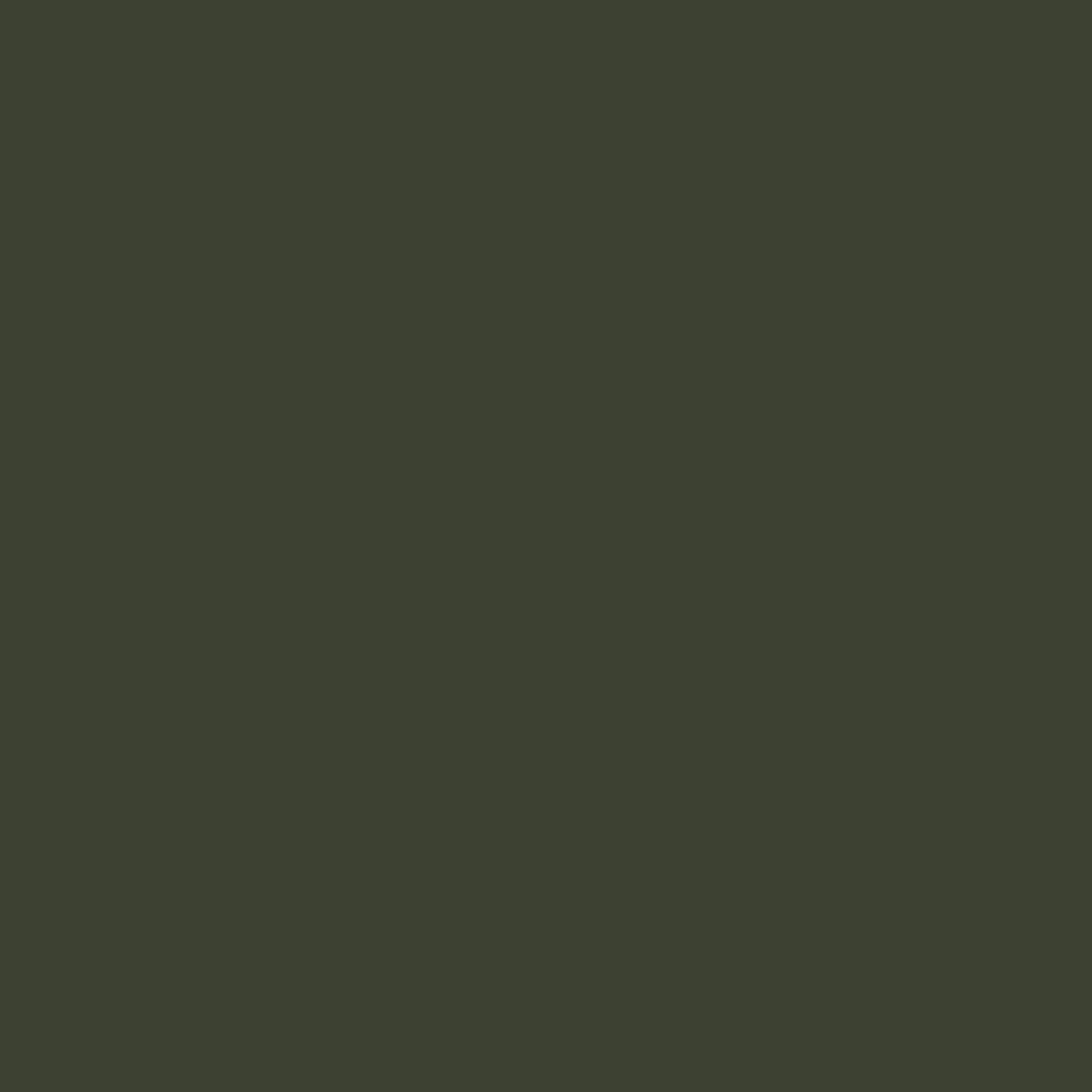 Compass Acrylic Beanie - Fir Tree - Image 5