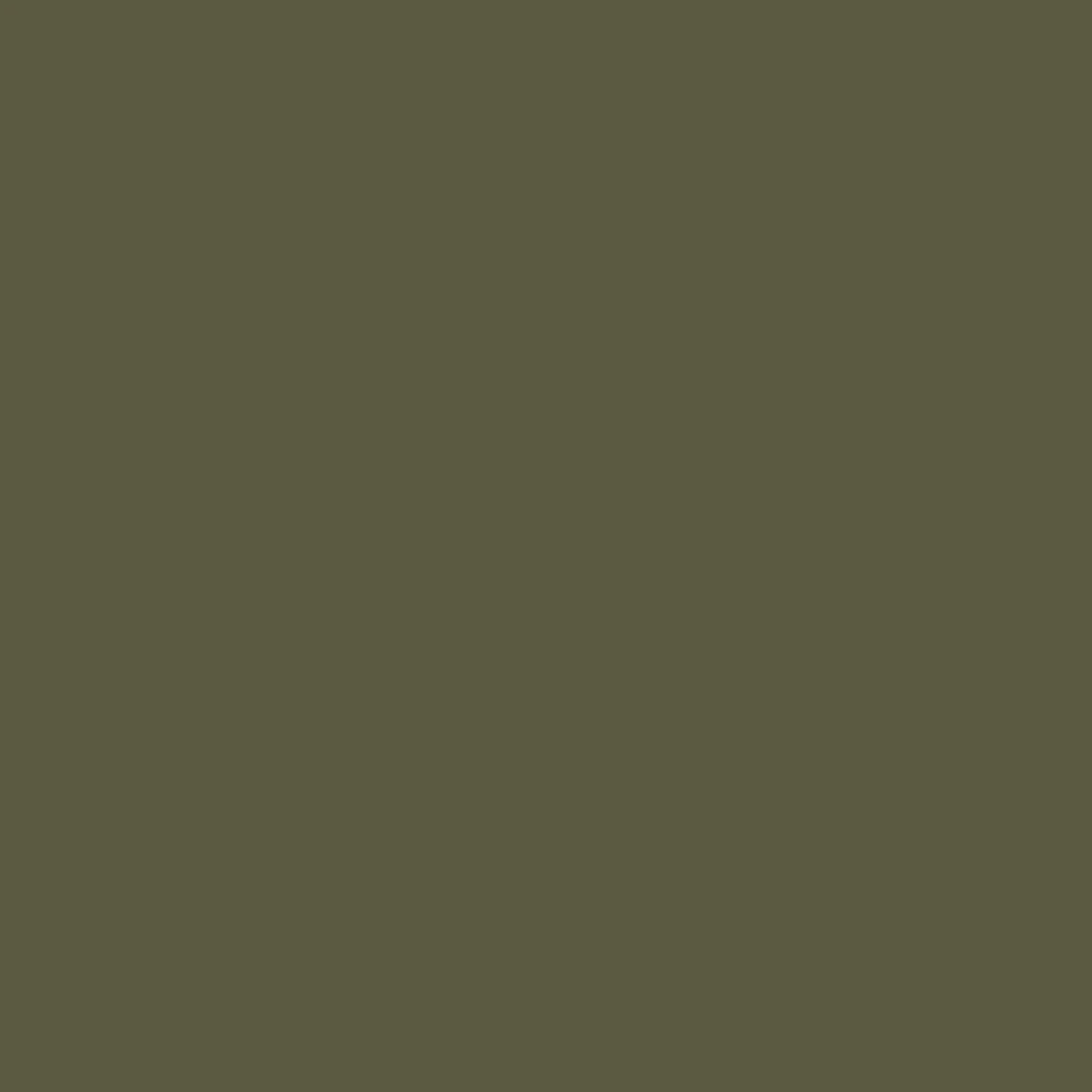 Odyssey Organic Cotton T-Shirt - Khaki - Image 8